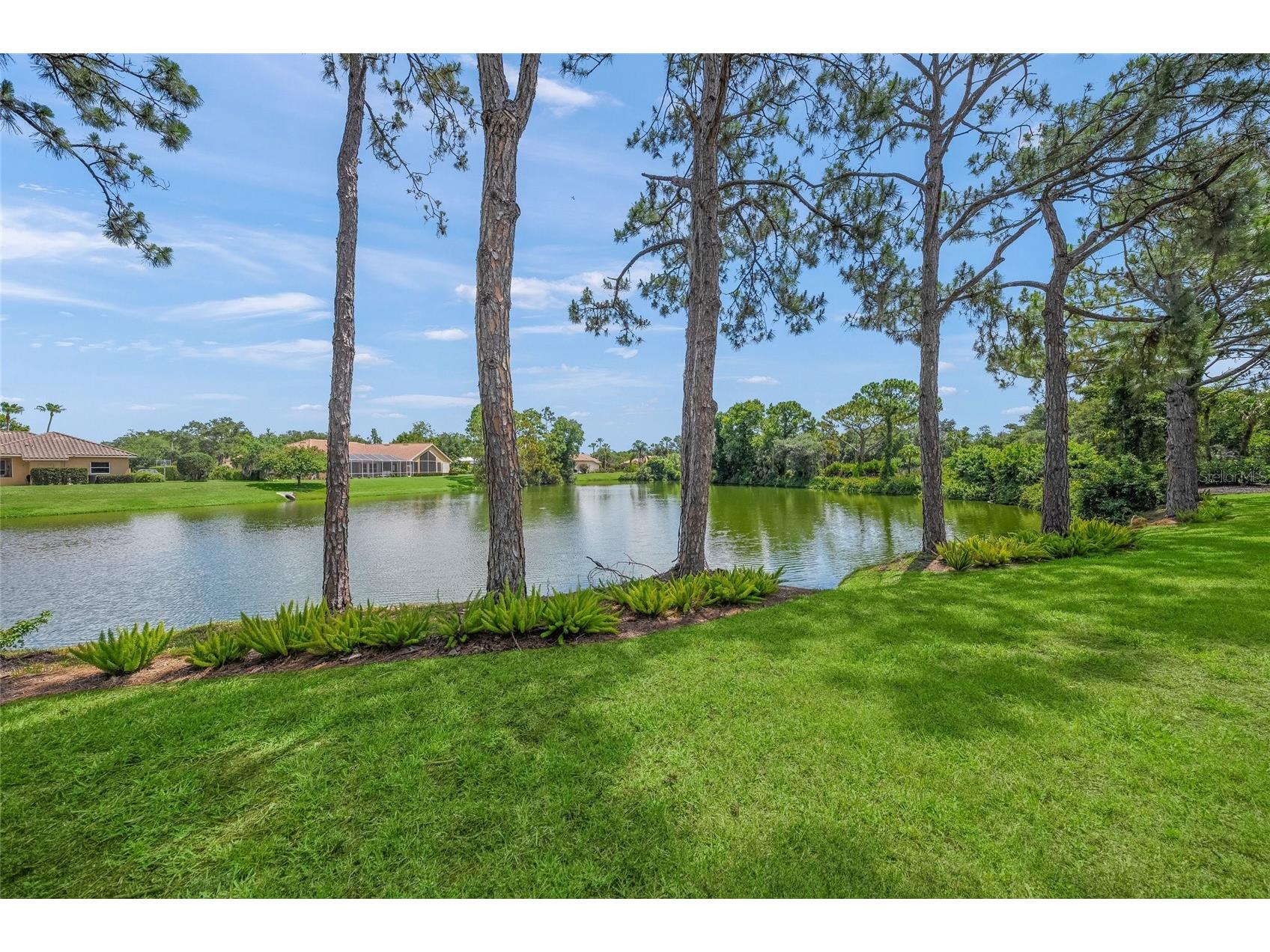 8331 Misty Lake Circle Sarasota FL 34241 A4694169 image6