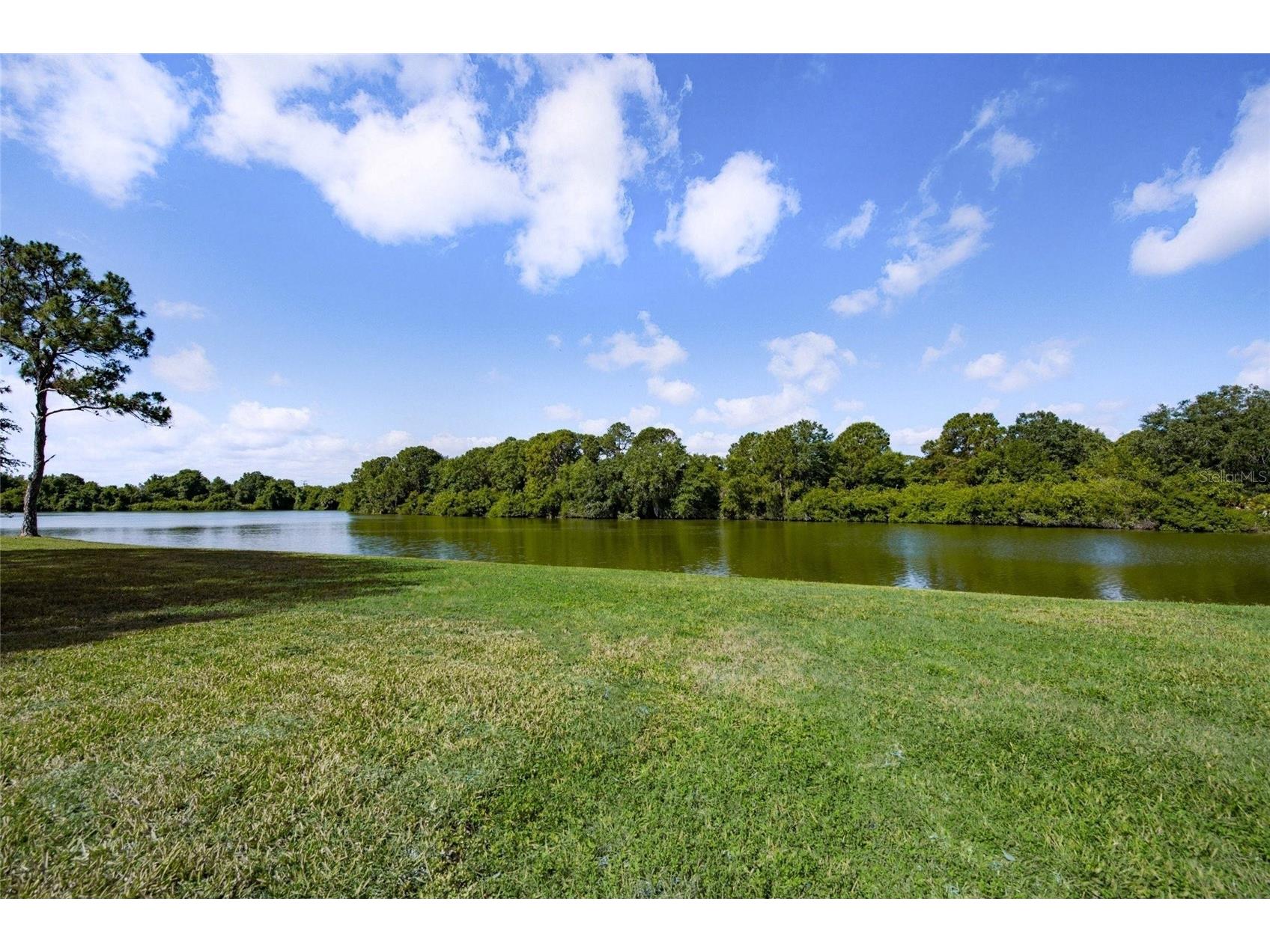 8331 Misty Lake Circle Sarasota FL 34241 A4694169 image65