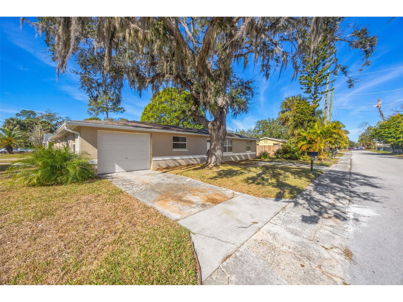 8331 Wilkins Street Port Richey FL 34668 TB8469742 image27