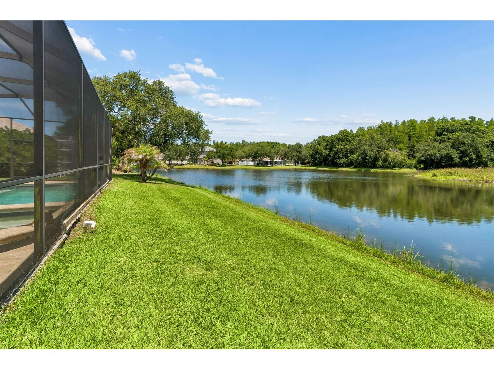 8332 Torrington Avenue Tampa FL 33647 TB8514932 image40
