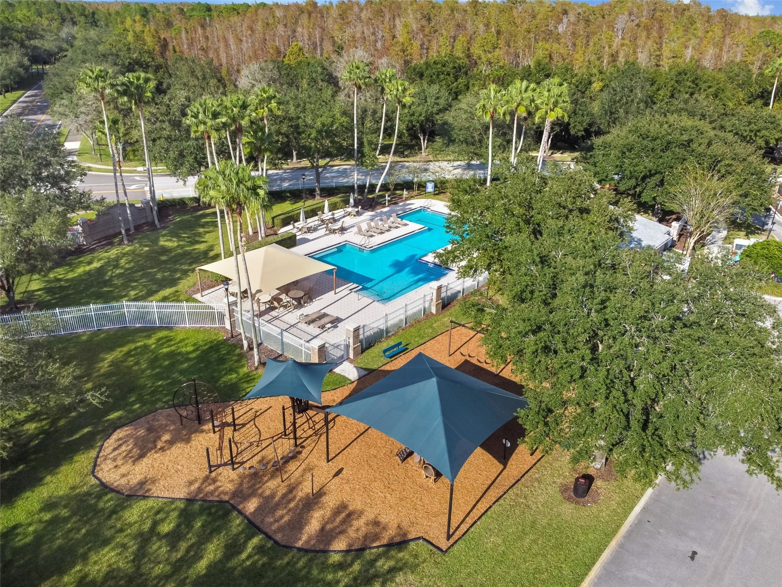 8332 Torrington Avenue Tampa FL 33647 TB8514932 image45