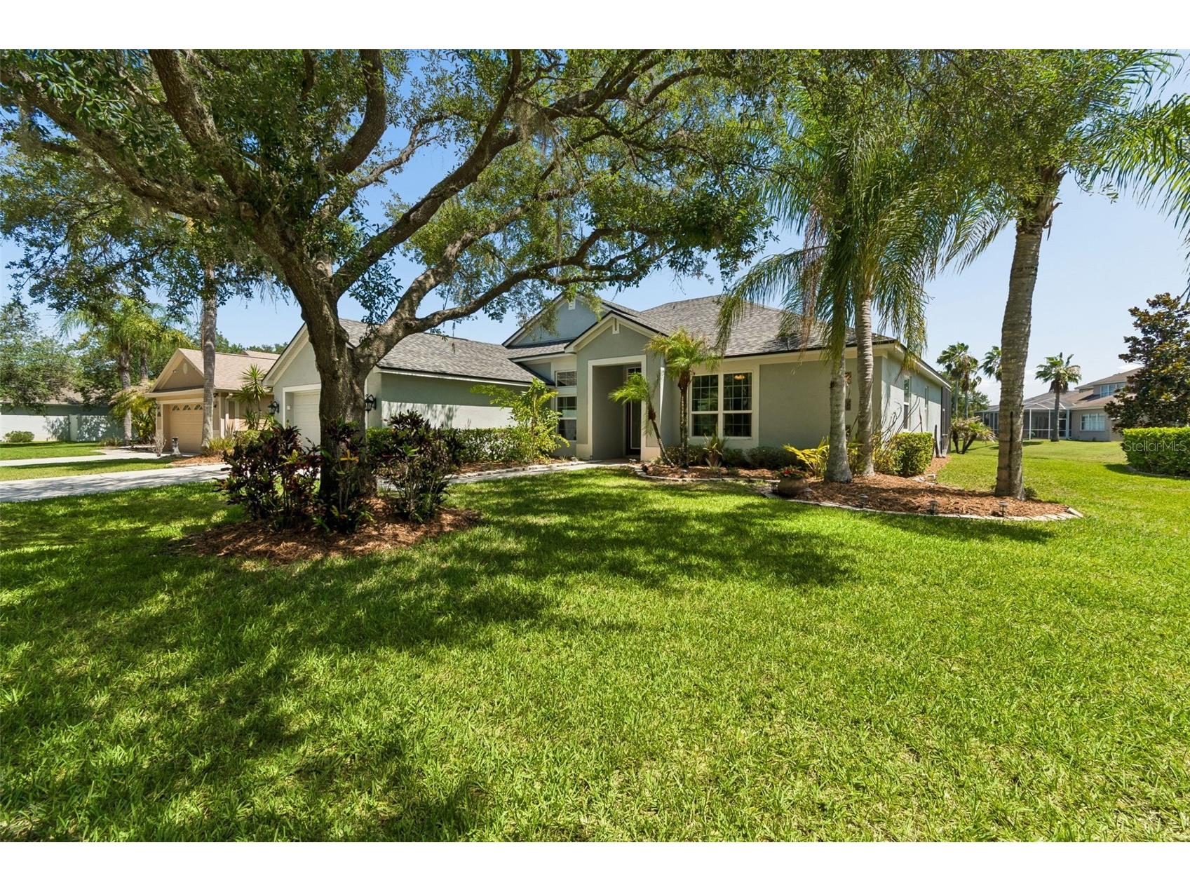8332 Torrington Avenue Tampa FL 33647 TB8516438 image3