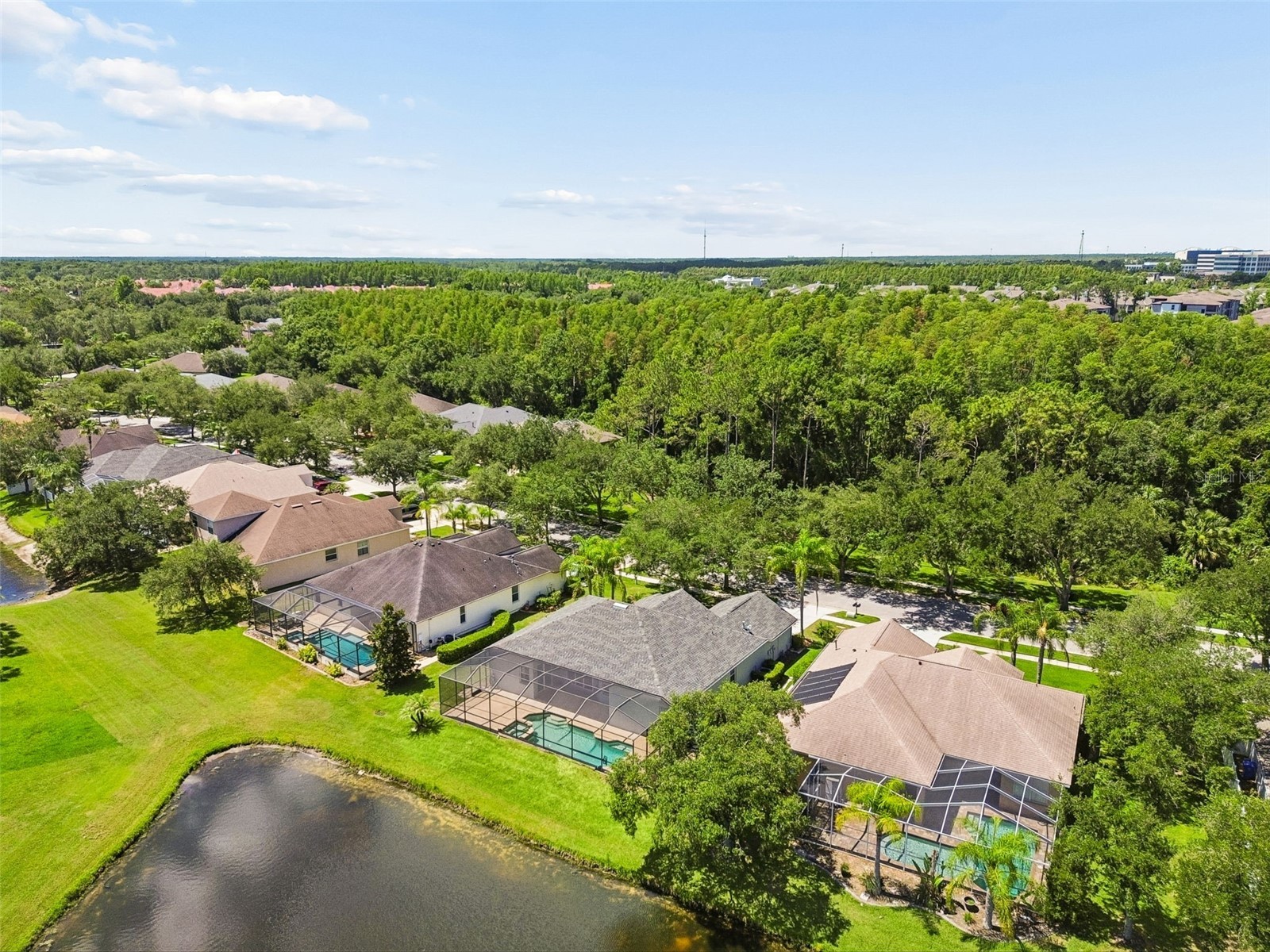 8332 Torrington Avenue Tampa FL 33647 TB8516438 image44