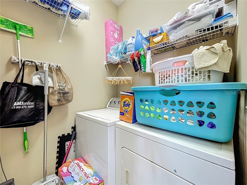 8333 Baywood Vista Drive Orlando FL 32810 O6355128 image36