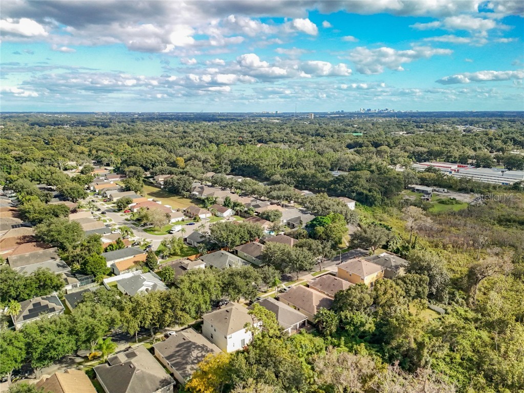 8333 Baywood Vista Drive Orlando FL 32810 O6355128 image43