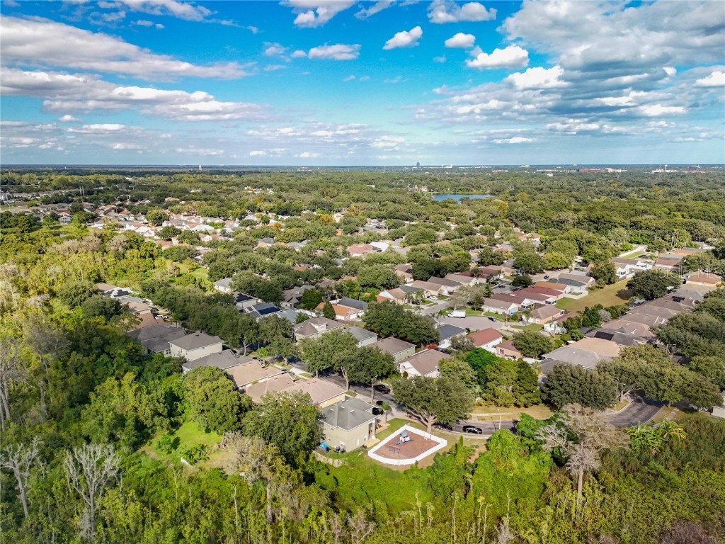 8333 Baywood Vista Drive Orlando FL 32810 O6355128 image45