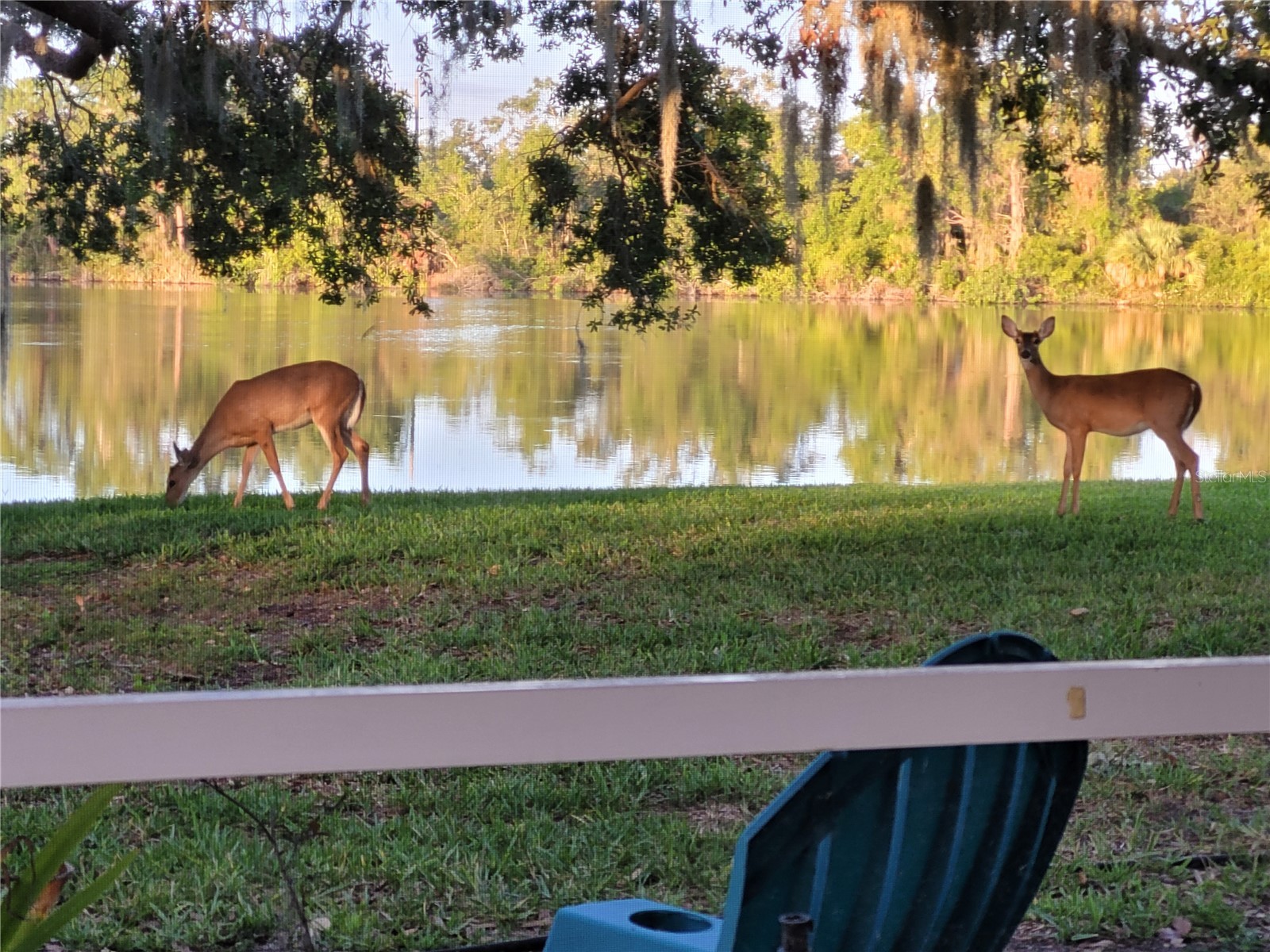 8333 Eagle Lake Drive Sarasota FL 34241 - MISTY CREEK O6410999 image25