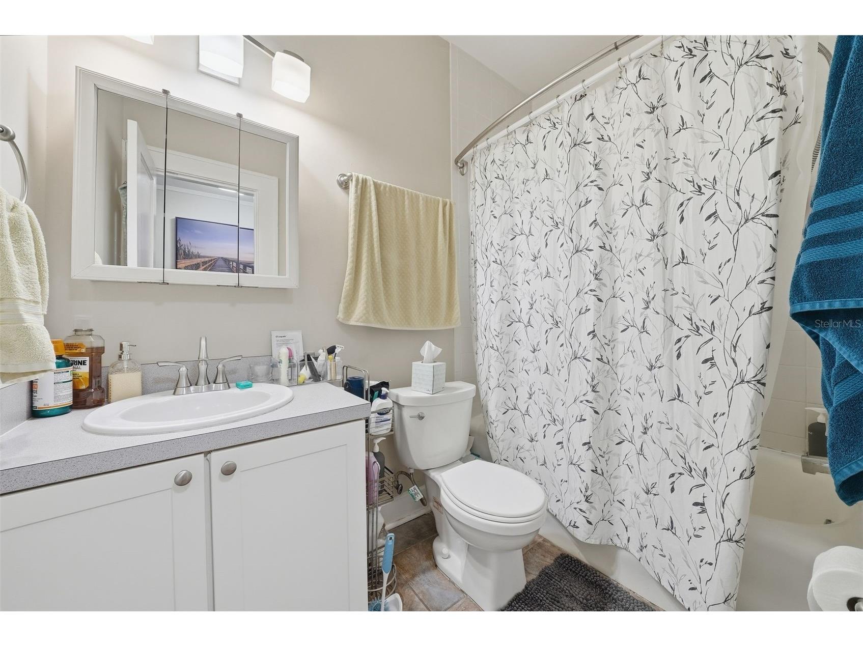 8334 Diagonal Road N Saint Petersburg FL 33702 TB8458525 image22