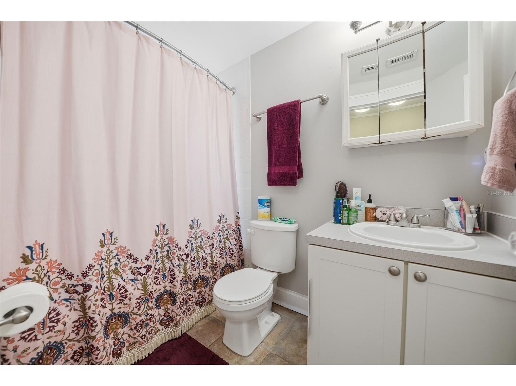 8334 Diagonal Road N Saint Petersburg FL 33702 TB8458525 image31