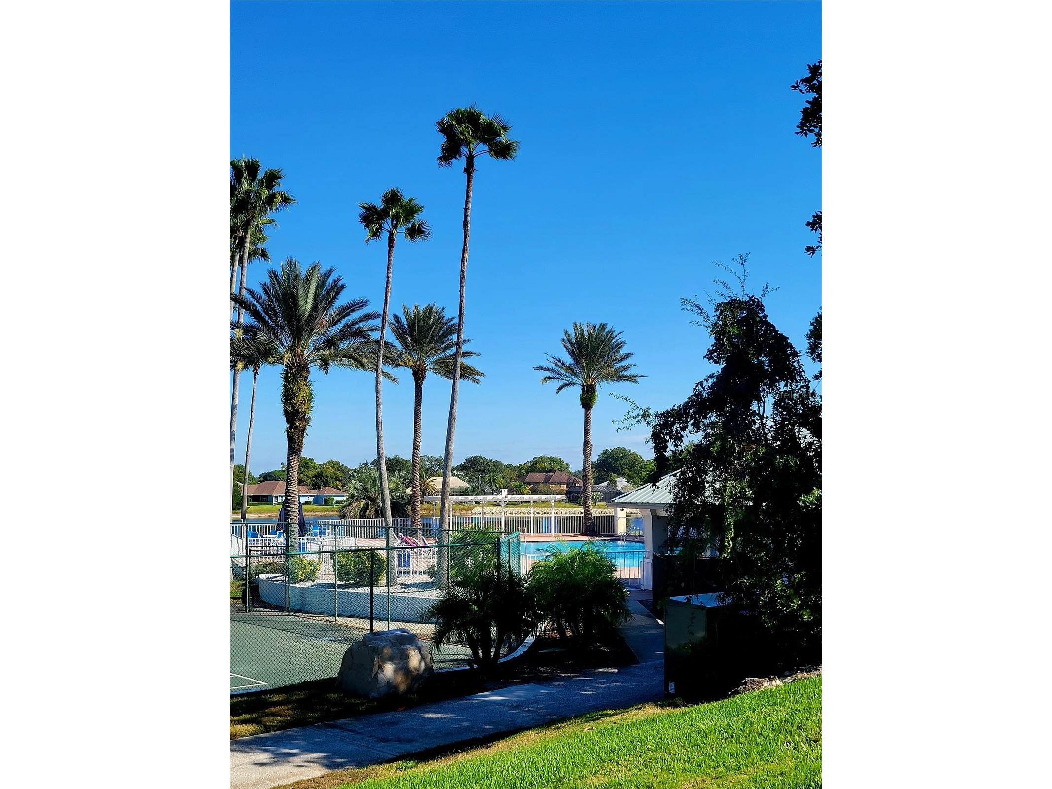 8334 Fair Hill Drive Weeki Wachee FL 34613 TB8444316 image77