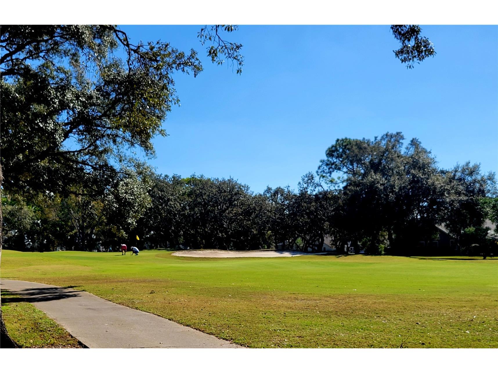 8334 Fair Hill Drive Weeki Wachee FL 34613 TB8444316 image79