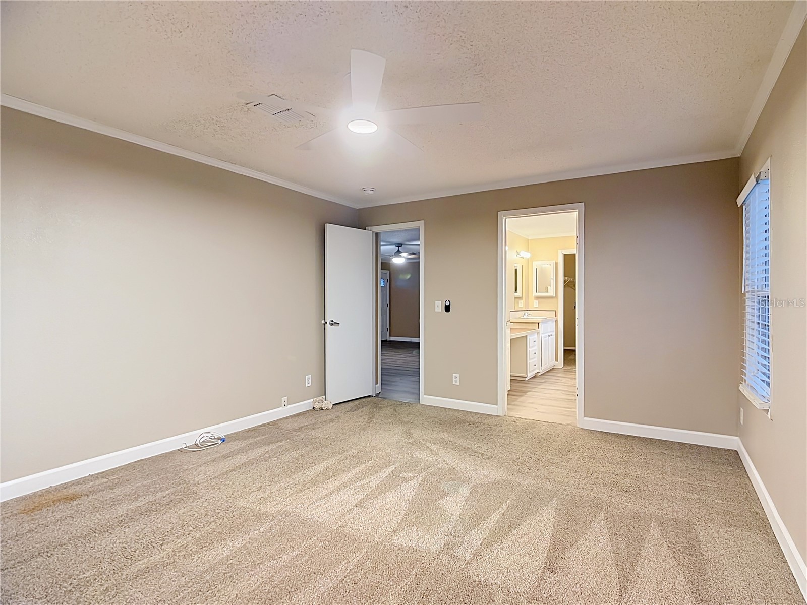 8334 Mitchall Drive Lakeland FL 33809 L4963534 image18