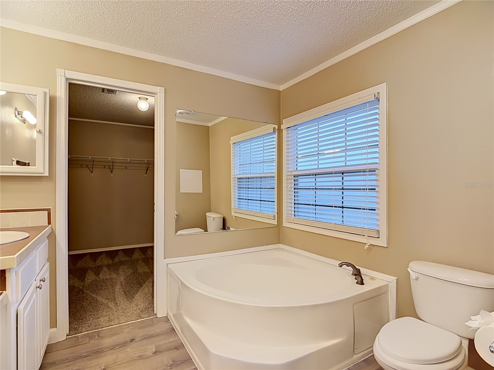 8334 Mitchall Drive Lakeland FL 33809 L4963534 image21