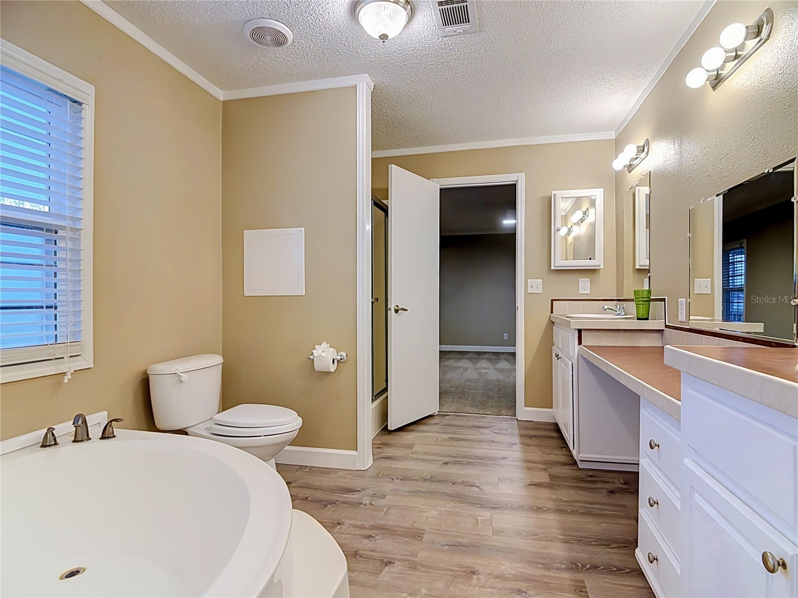 8334 Mitchall Drive Lakeland FL 33809 L4963534 image22