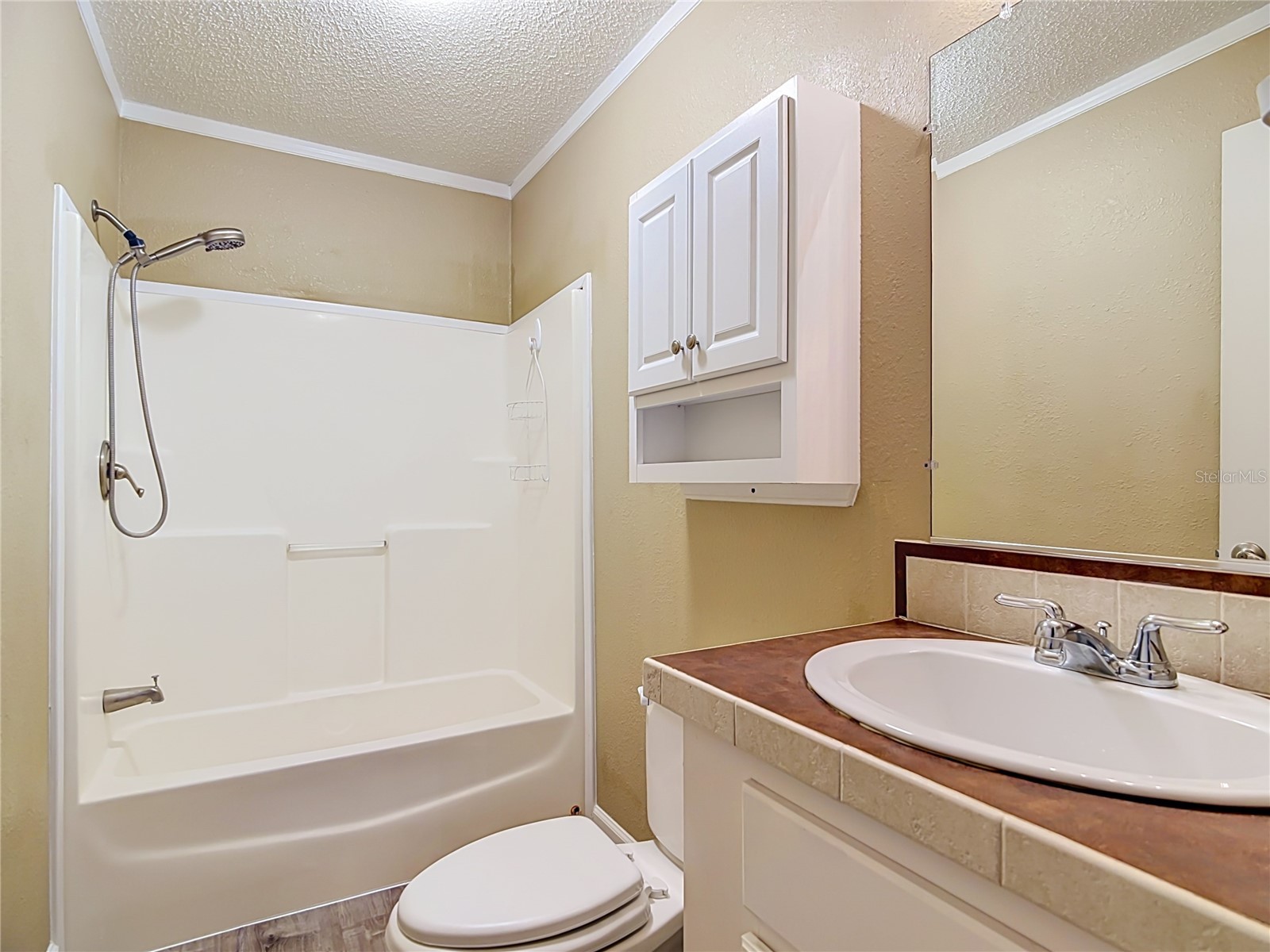8334 Mitchall Drive Lakeland FL 33809 L4963534 image27
