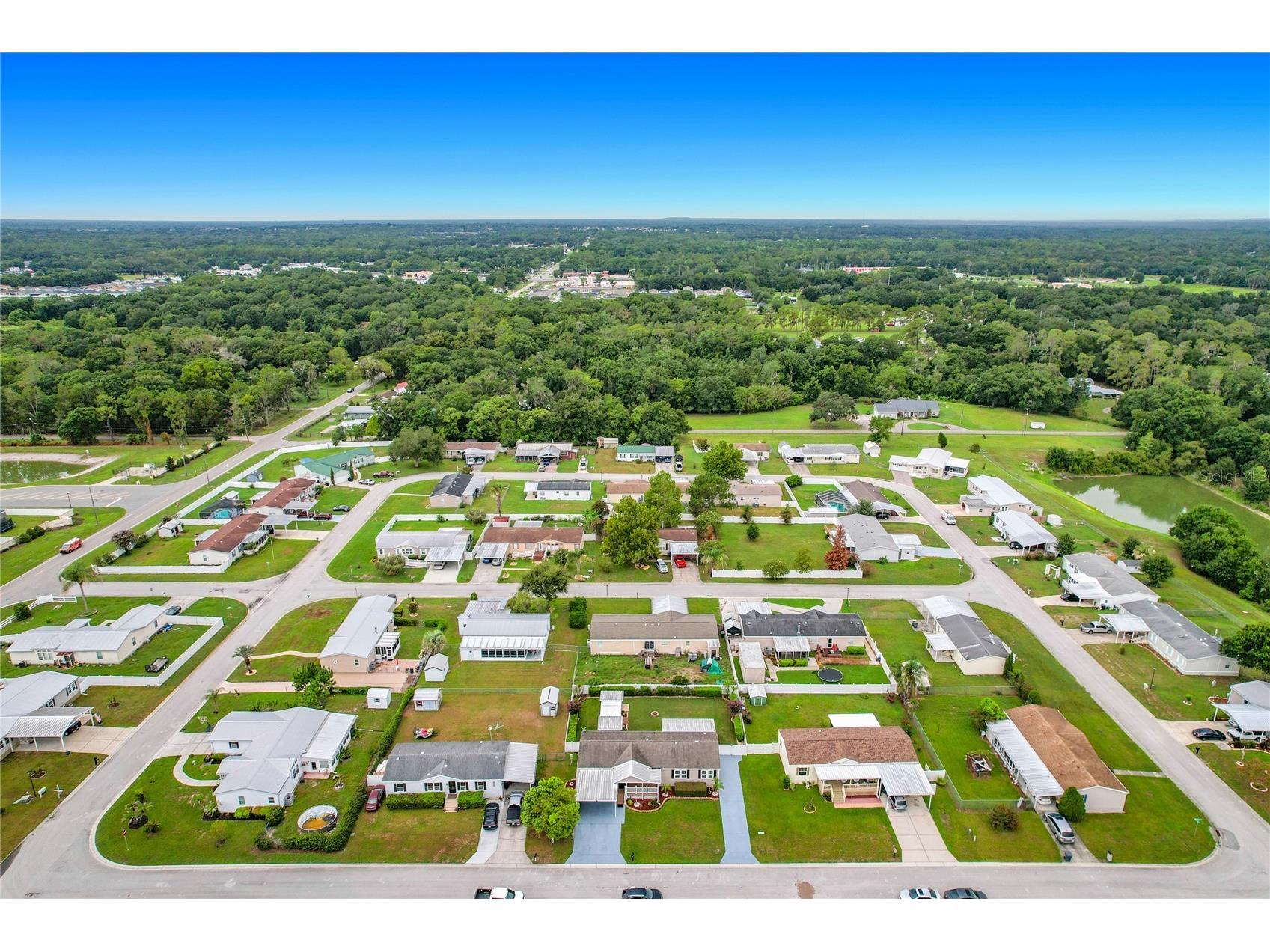 8334 Mitchall Drive Lakeland FL 33809 L4963534 image52