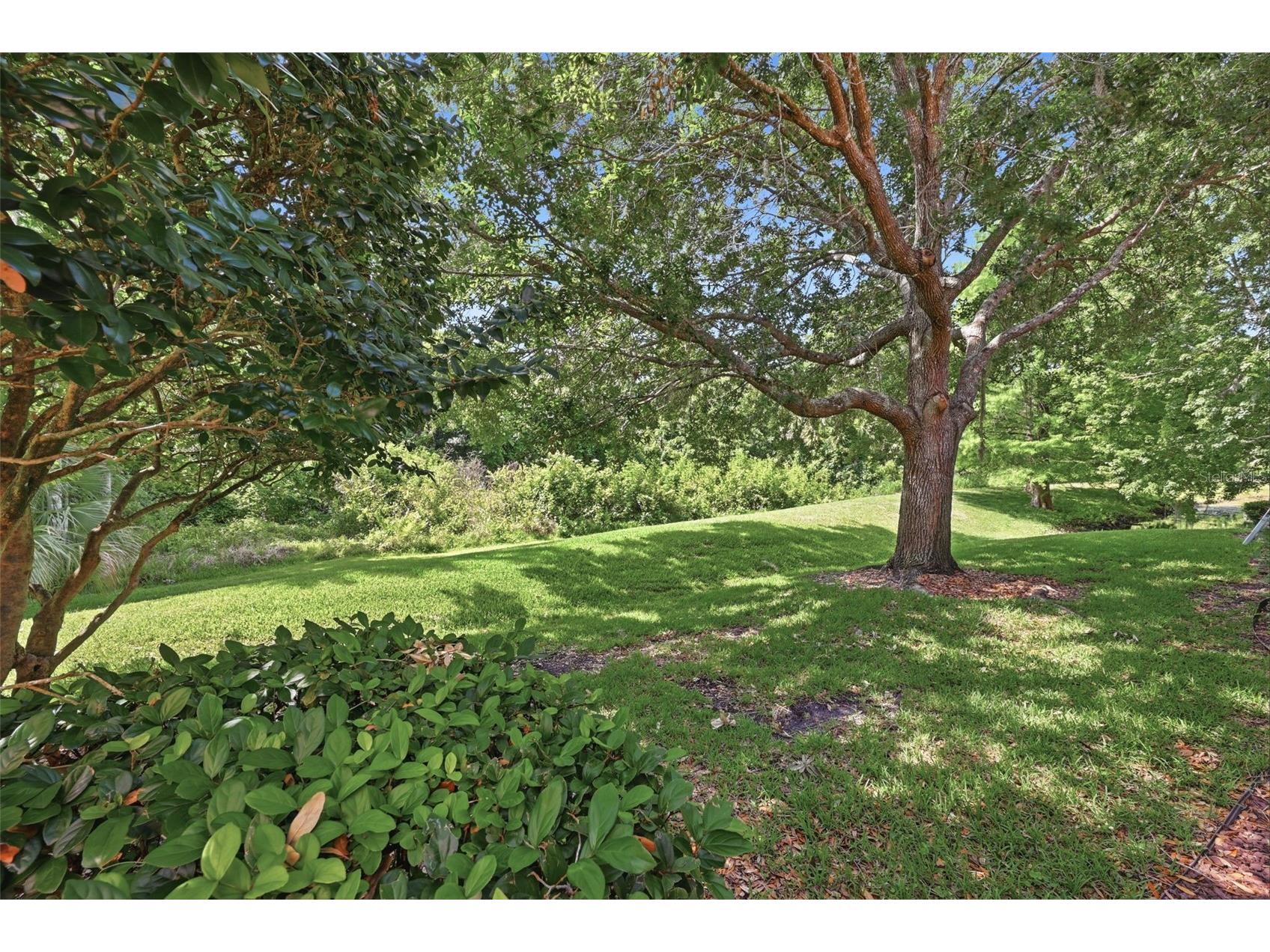 8334 Riverdale Lane #10320 Davenport FL 33896 S5149344 image46