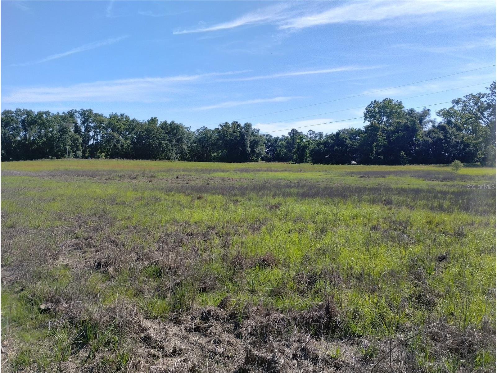 8335 168th Street Mc Alpin FL 32062 GC532140 image2