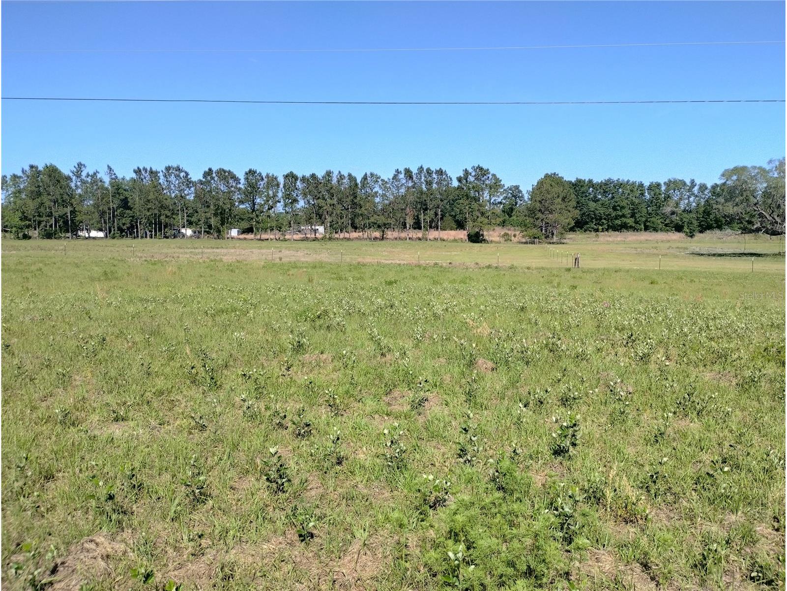 8335 168th Street Mc Alpin FL 32062 GC532140 image5