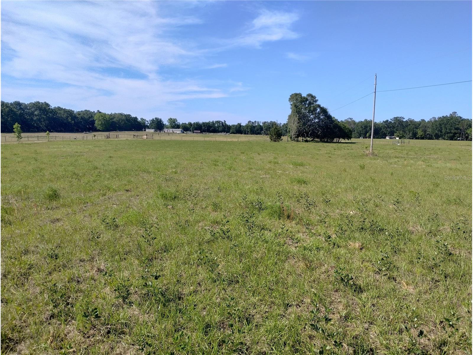 8335 168th Street Mc Alpin FL 32062 GC532140 image6