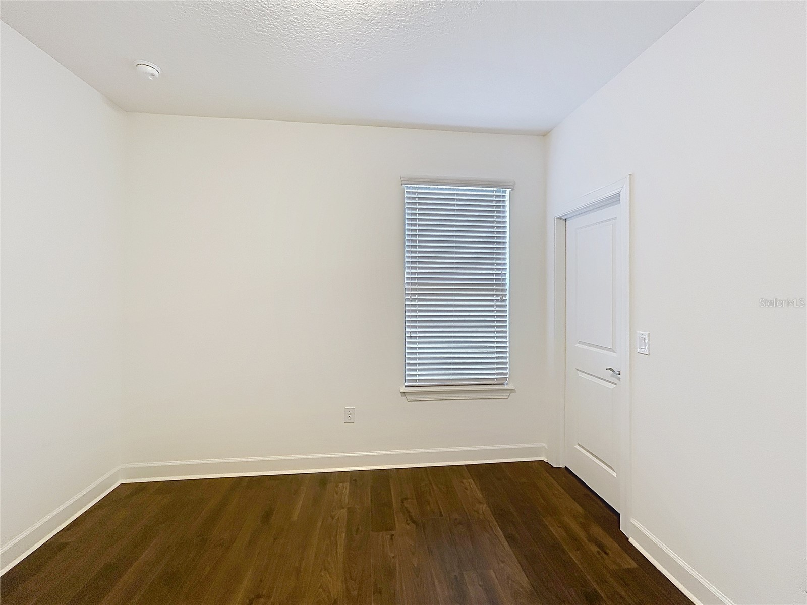 8335 Alberata Vista Drive Tampa FL 33647 TB8520978 image19