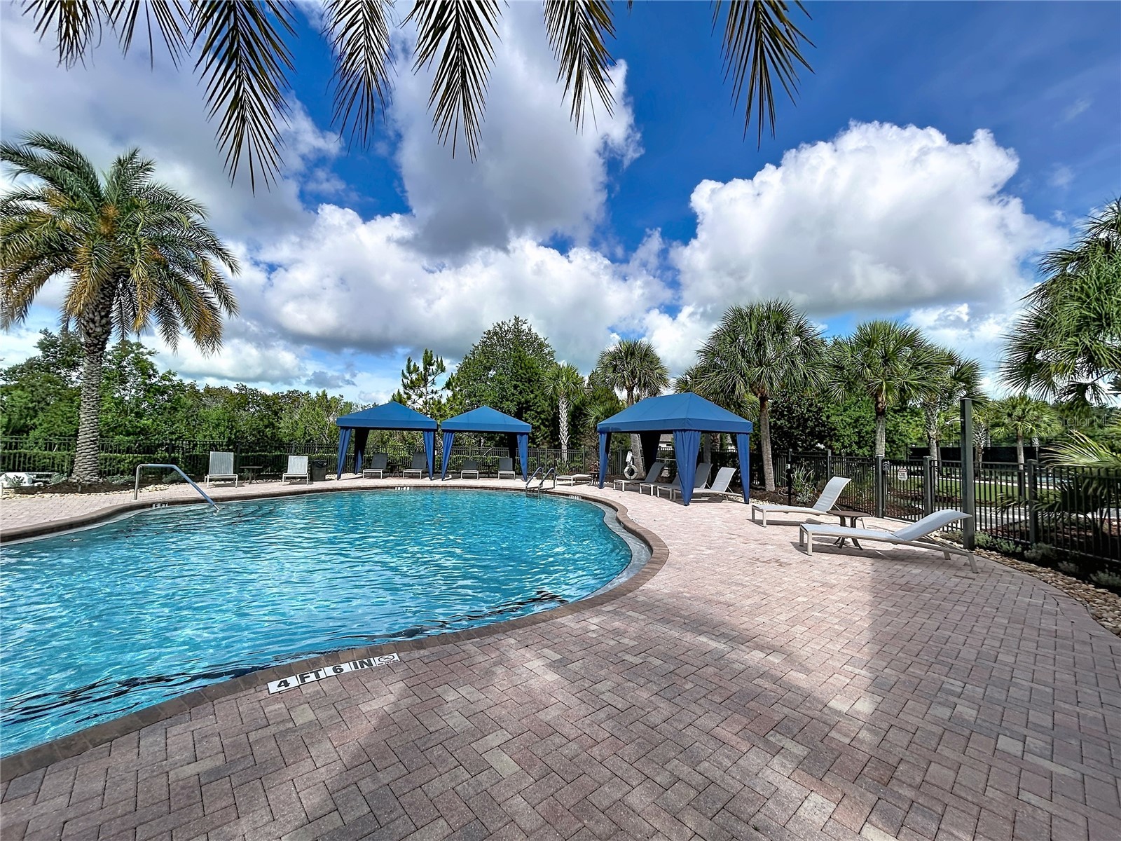 8335 Alberata Vista Drive Tampa FL 33647 TB8520978 image26