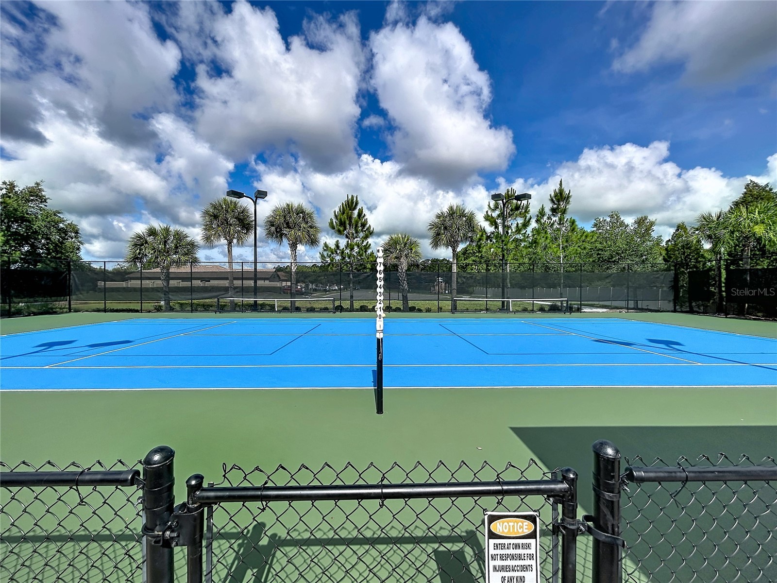 8335 Alberata Vista Drive Tampa FL 33647 TB8520978 image31