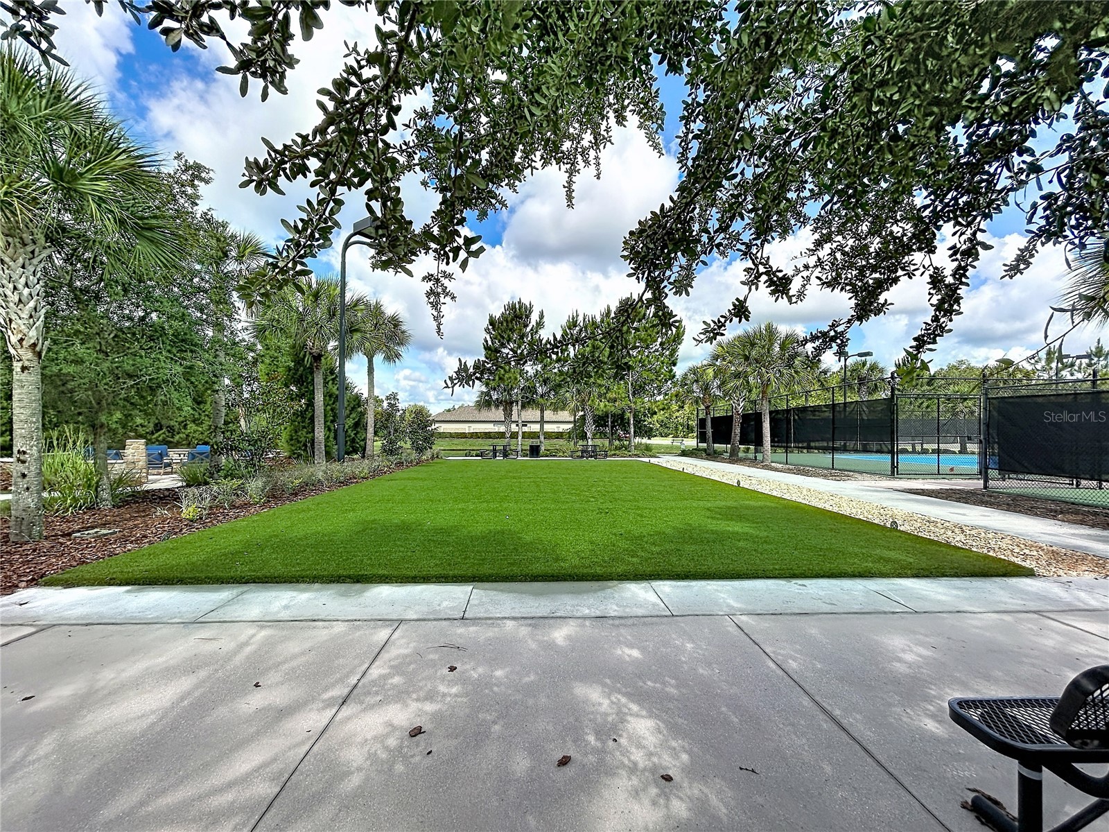 8335 Alberata Vista Drive Tampa FL 33647 TB8520978 image32