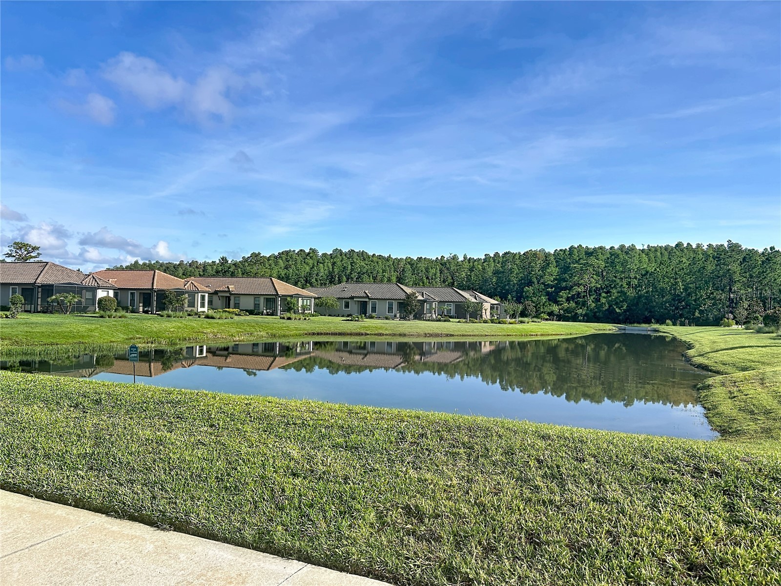8335 Alberata Vista Drive Tampa FL 33647 TB8520978 image33