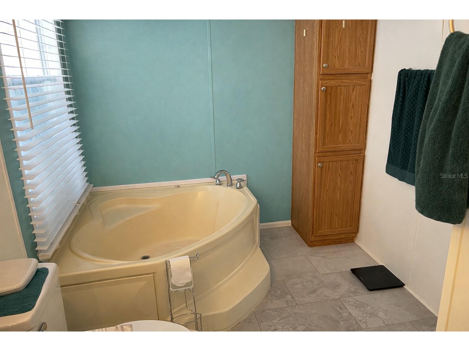 8335 Fantasia Park Way Riverview FL 33578 TB8483608 image24