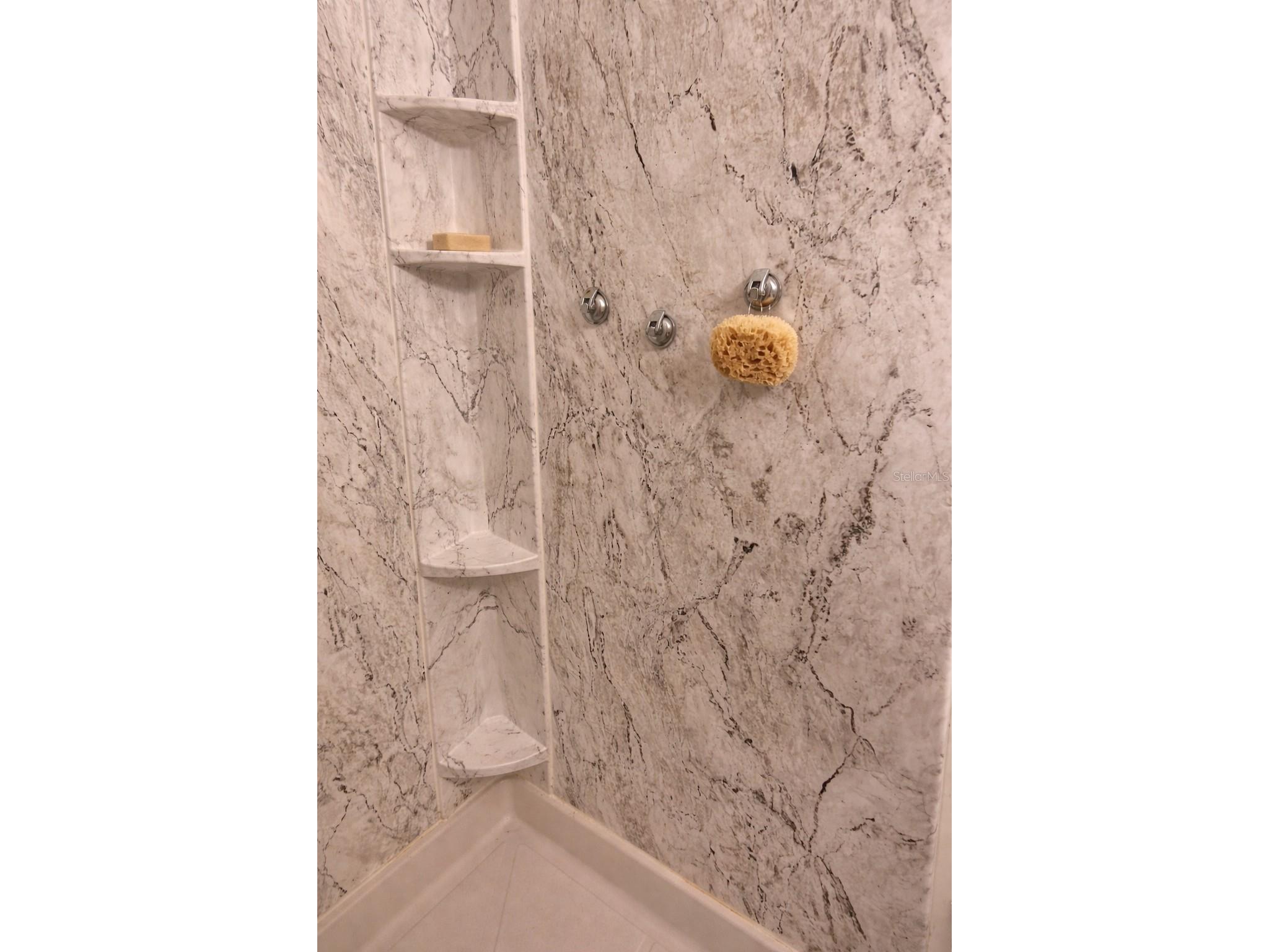 8335 Fantasia Park Way Riverview FL 33578 TB8483608 image25