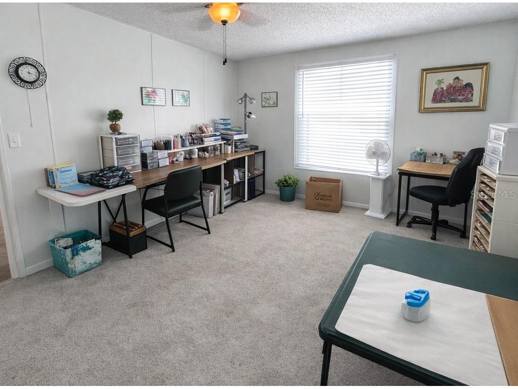 8335 Fantasia Park Way Riverview FL 33578 TB8483608 image33