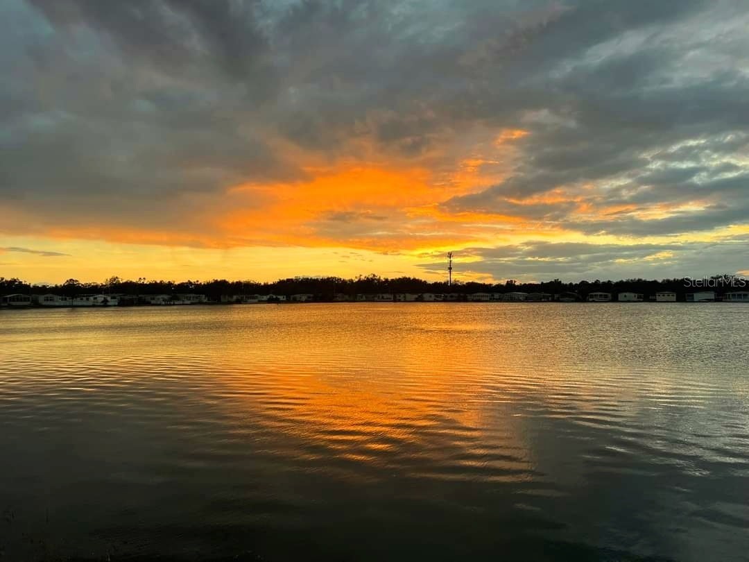 8335 Fantasia Park Way Riverview FL 33578 TB8483608 image37