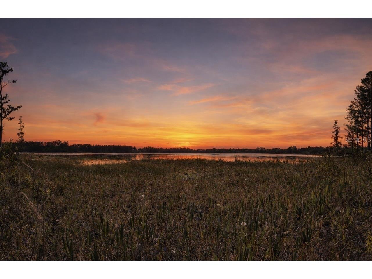 8335 Florida Boys Ranch Road Groveland FL 34736 - PINE ISLAND LAKE O6377644 image1