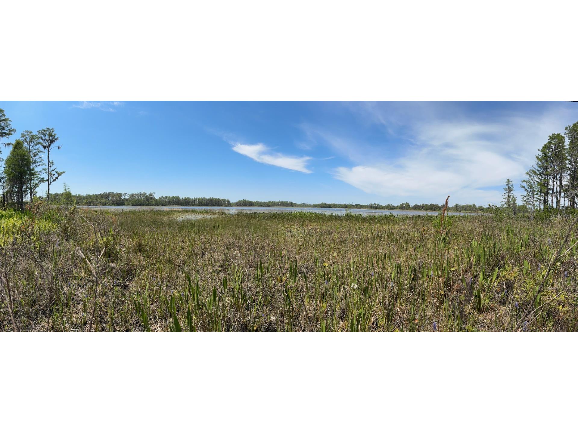 8335 Florida Boys Ranch Road Groveland FL 34736 - PINE ISLAND LAKE O6377644 image12