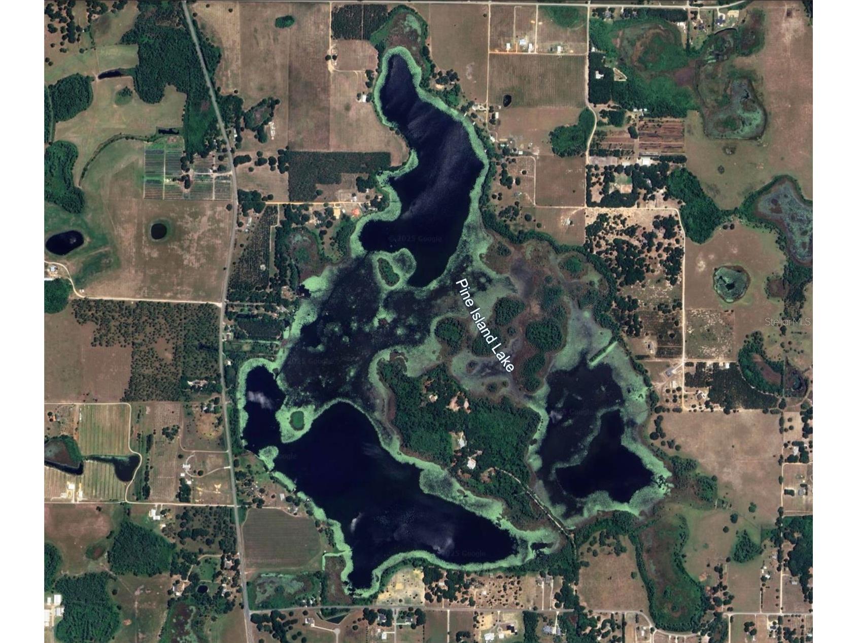 8335 Florida Boys Ranch Road Groveland FL 34736 - PINE ISLAND LAKE O6377644 image3