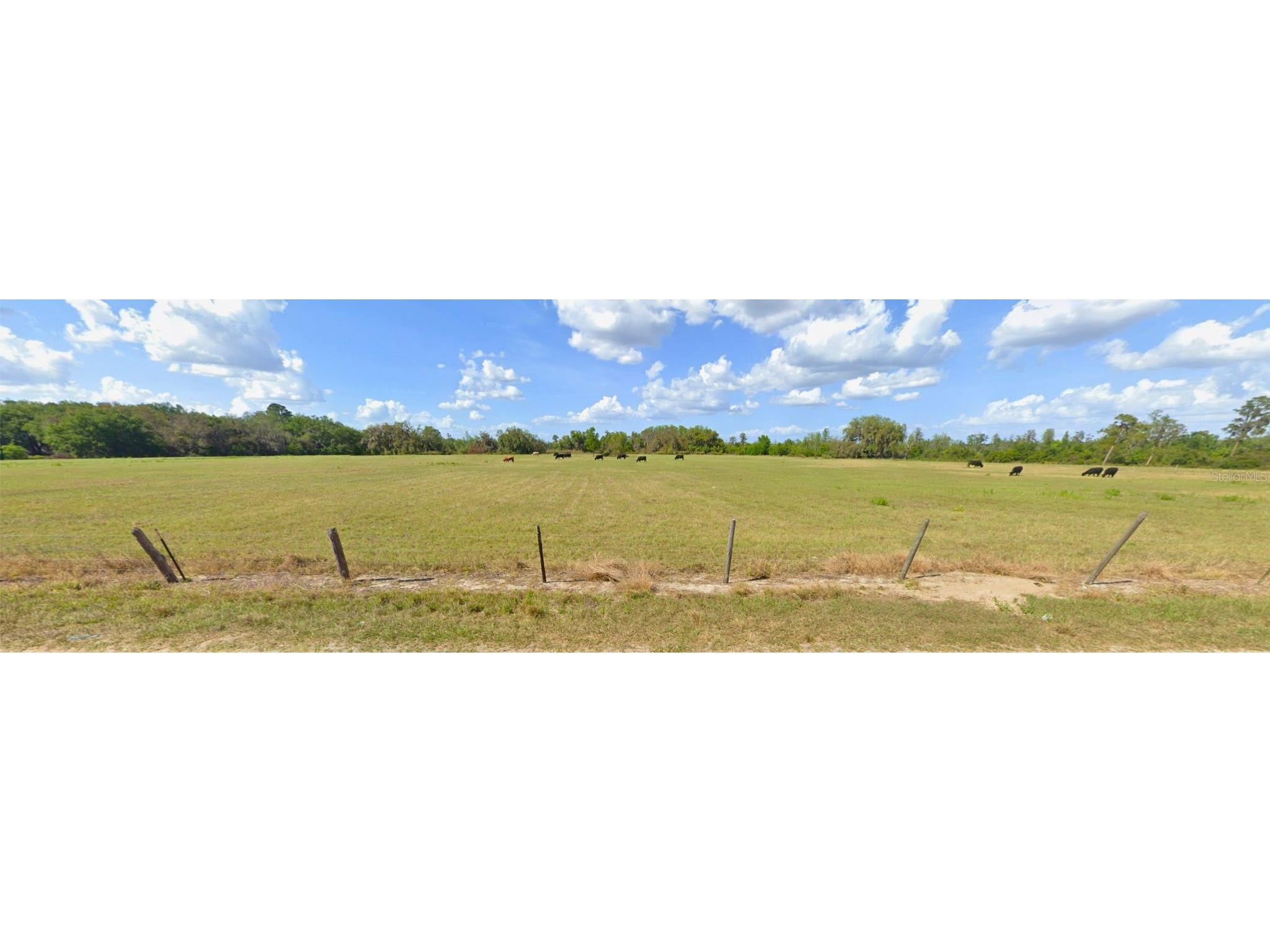 8335 Florida Boys Ranch Road Groveland FL 34736 - PINE ISLAND LAKE O6377644 image6