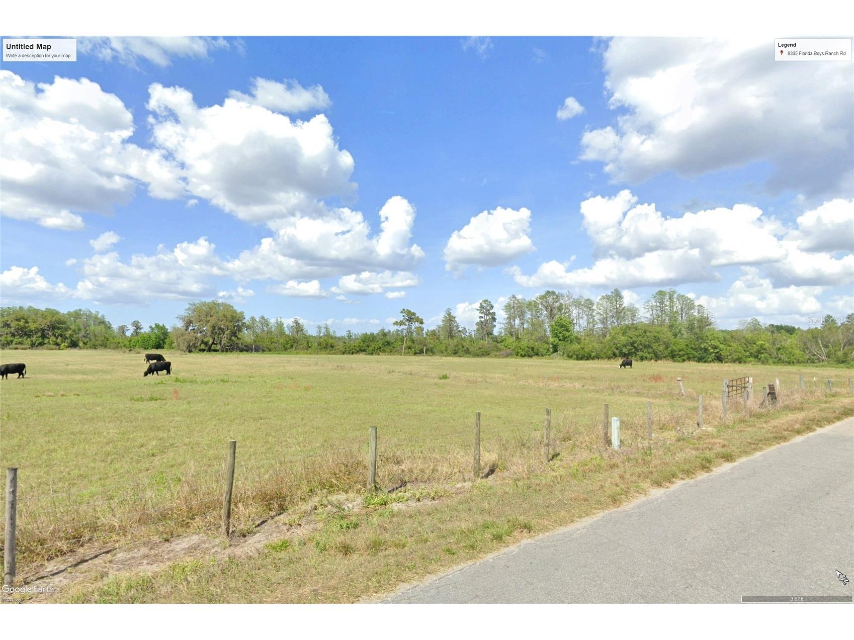 8335 Florida Boys Ranch Road Groveland FL 34736 - PINE ISLAND LAKE O6377644 image7