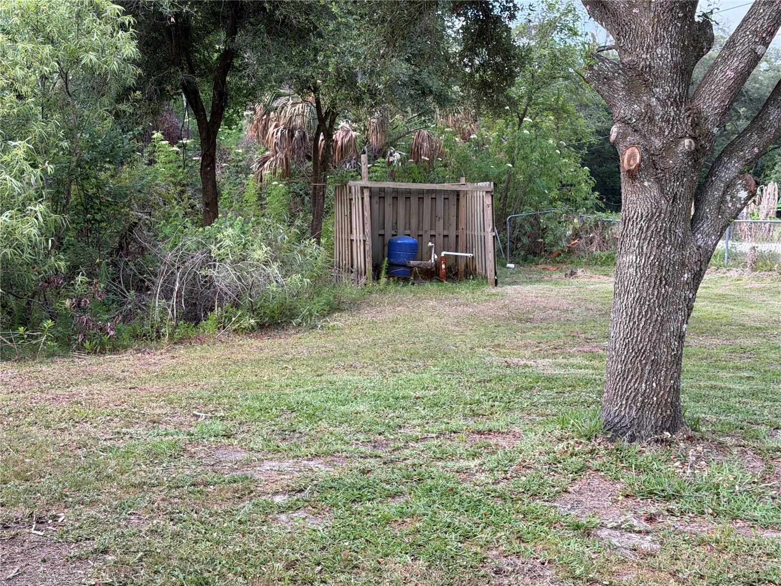 8336 Hamster Drive Zephyrhills FL 33540 TB8506965 image2