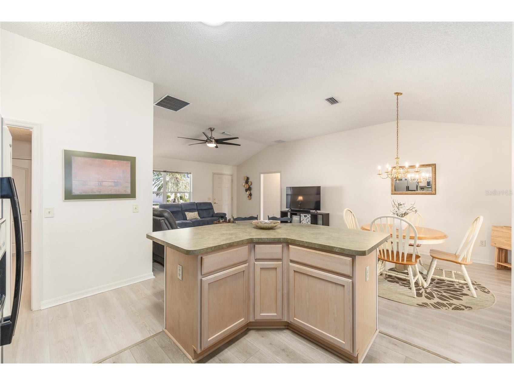 8337 SE 176th Lawson Loop The Villages FL 32162 OM717826 image18