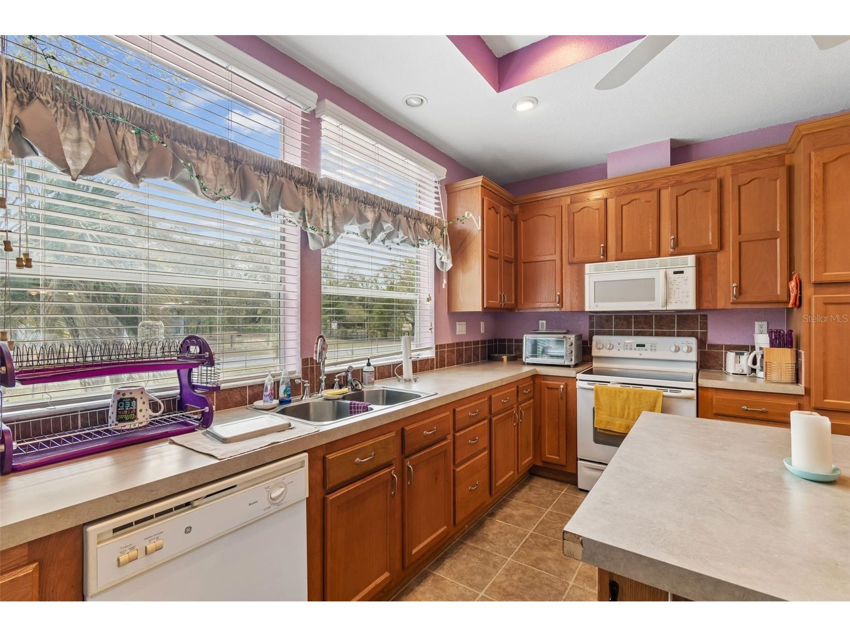 8337 Yellow Pine Avenue Brooksville FL 34613 TB8493821 image15