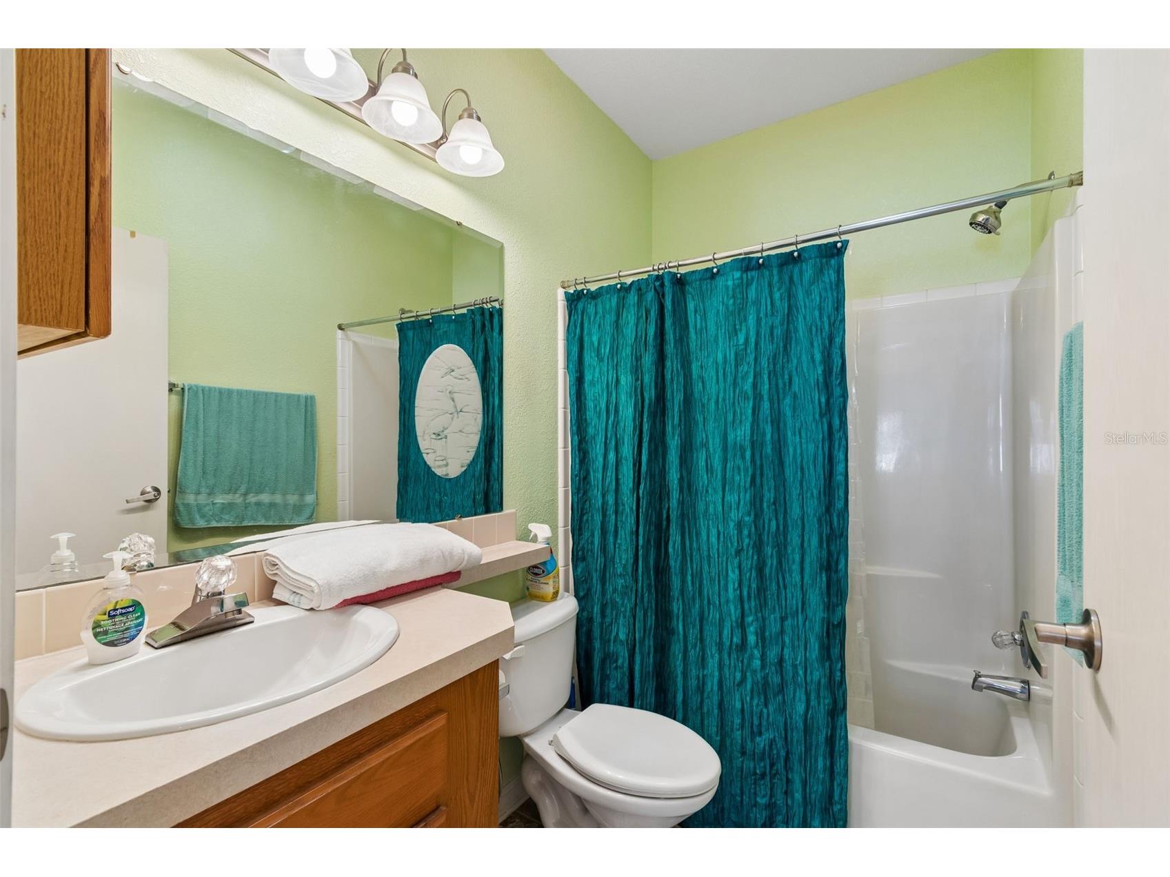 8337 Yellow Pine Avenue Brooksville FL 34613 TB8493821 image18
