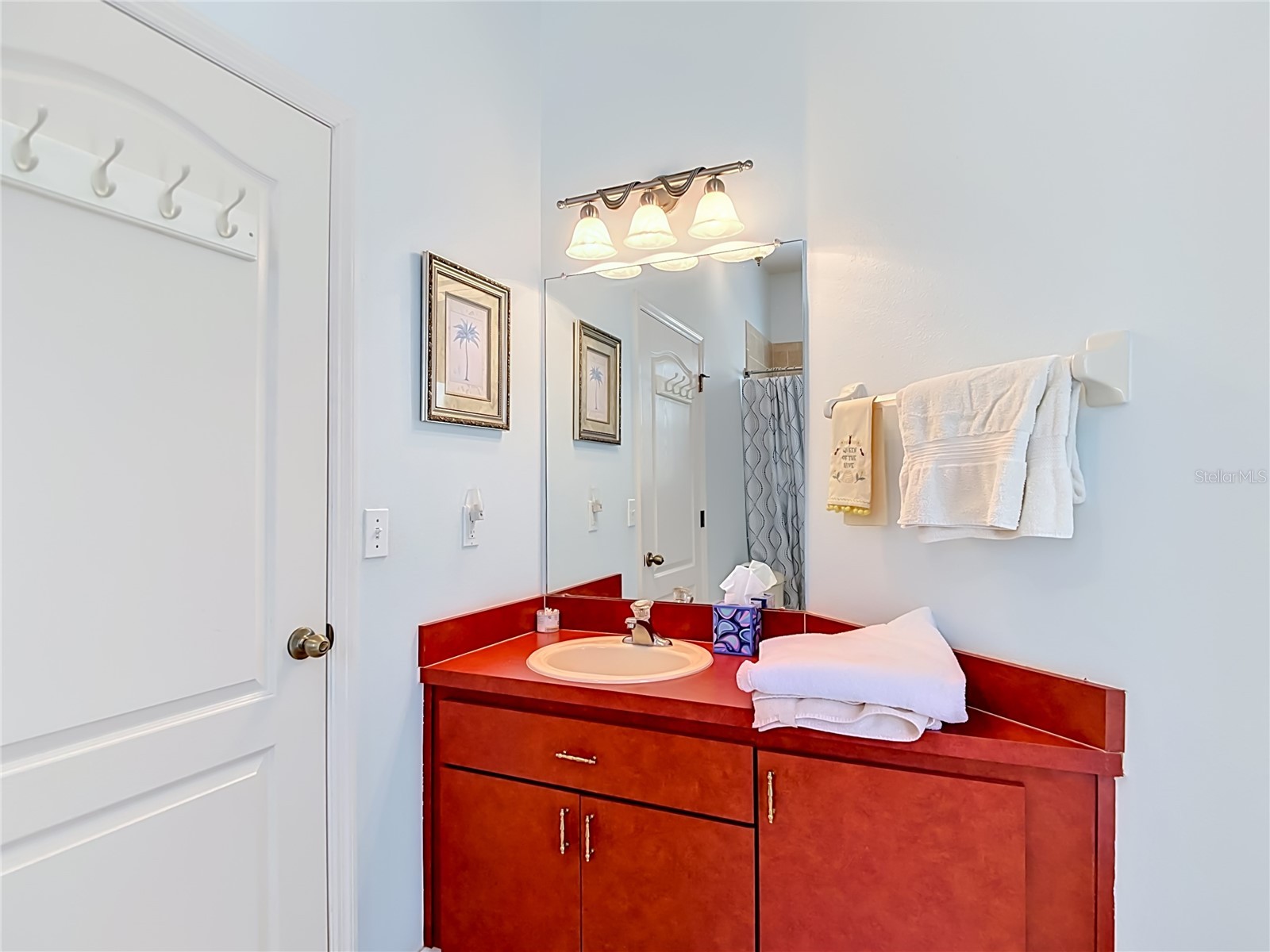 8338 Handcart Road Wesley Chapel FL 33545 L4962229 image58