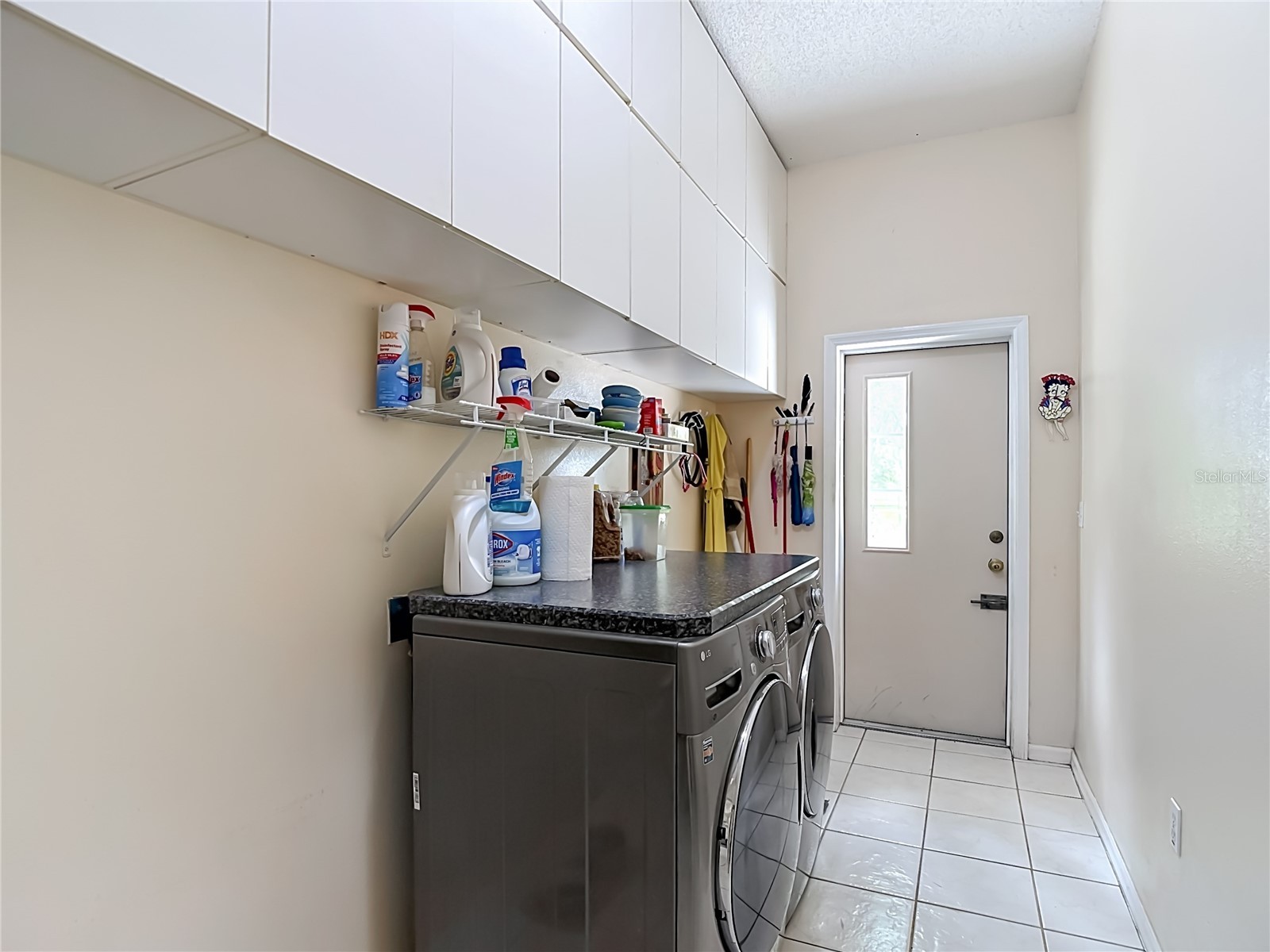 8338 Handcart Road Wesley Chapel FL 33545 L4962229 image59