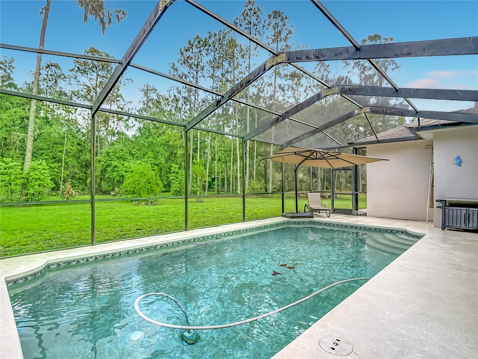 8338 Handcart Road Wesley Chapel FL 33545 L4962229 image65