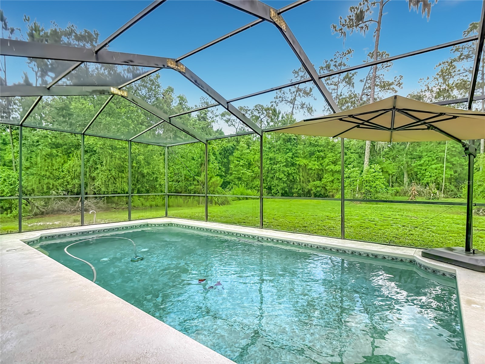 8338 Handcart Road Wesley Chapel FL 33545 L4962229 image66