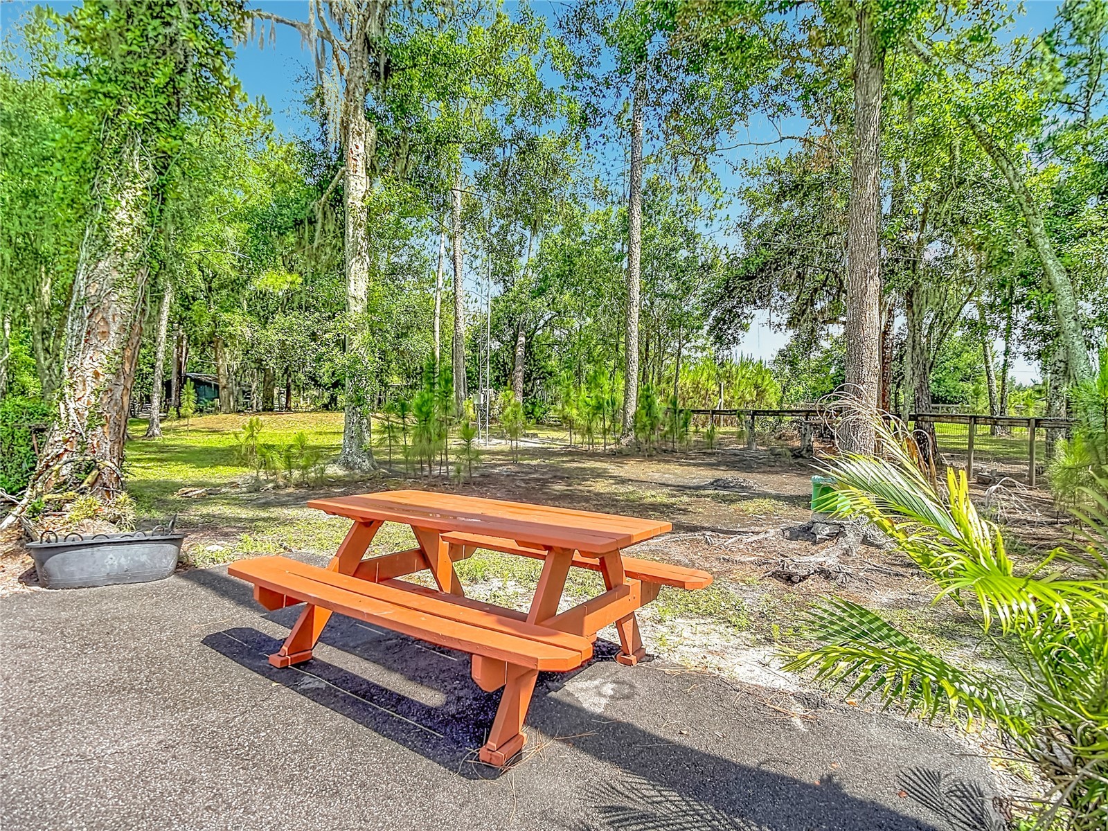 8338 Handcart Road Wesley Chapel FL 33545 L4962229 image70