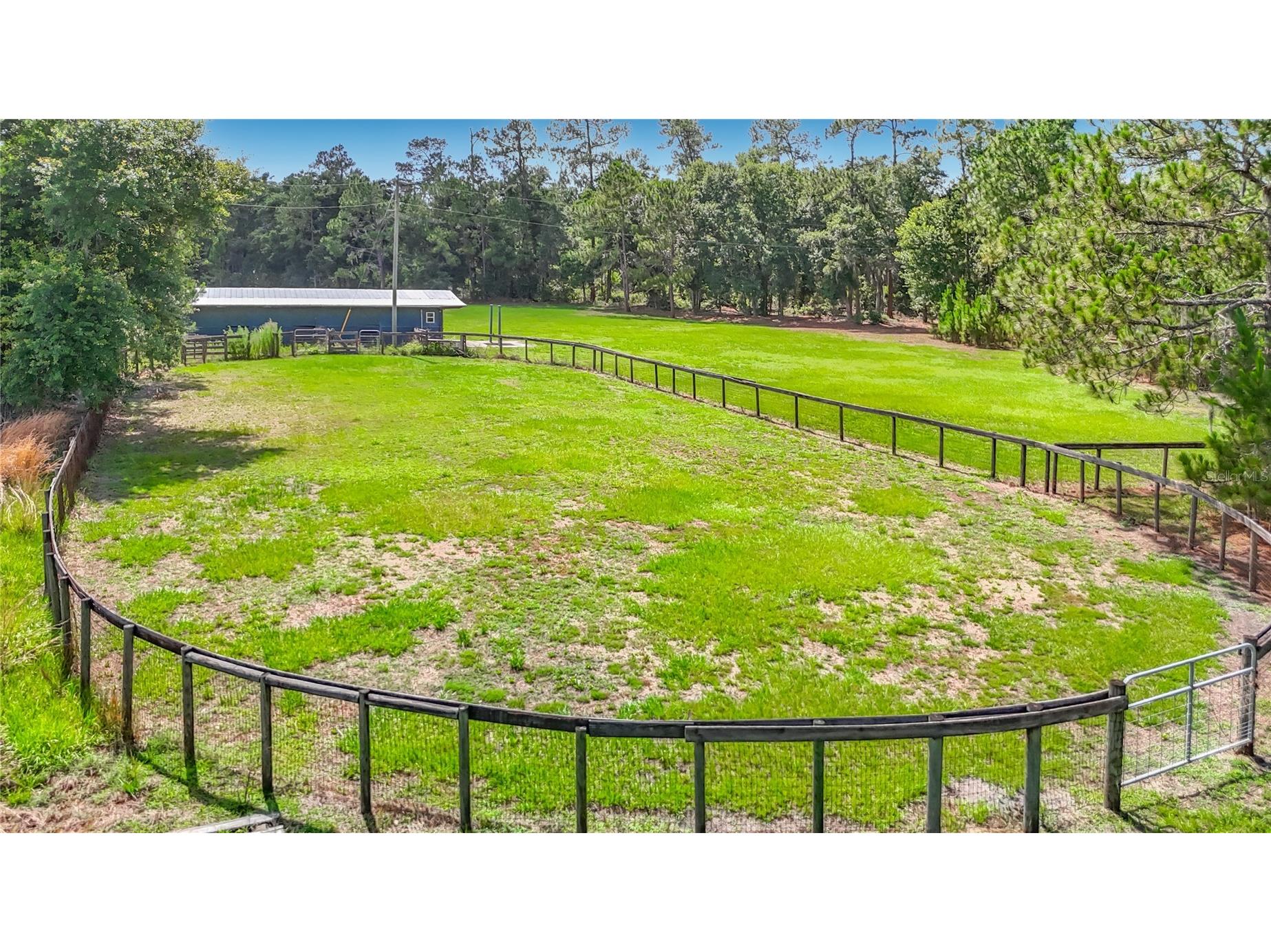 8338 Handcart Road Wesley Chapel FL 33545 L4962229 image83