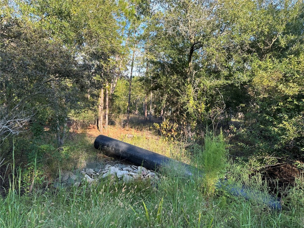 8338 Hardstone Drive Webster FL 33597 OM709669 image10