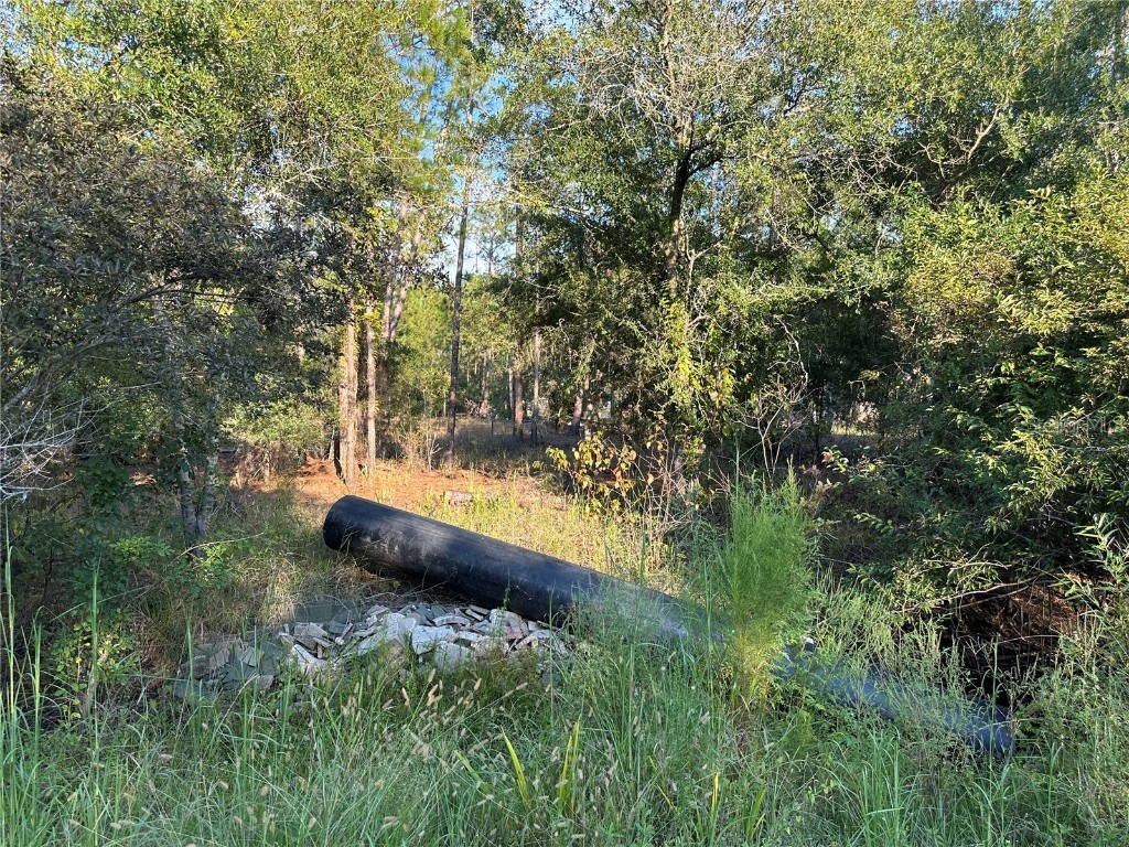 8338 Hardstone Drive Webster FL 33597 OM709669 image11